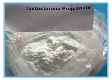 Στεροειδές εγχύσεων Propinoate δοκιμής σκονών CAS 57-85-2 τεστοστερόνης