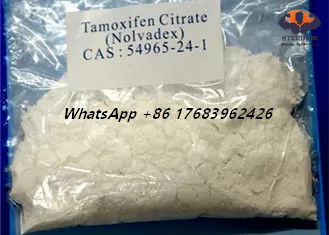 Blocker οιστρογόνου κιτρικού άλατος CAS 54965-24-1 Nolvadex Tamoxifen άσπρη κρυστάλλινη σκόνη στεροειδών