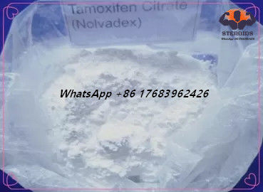 Άσπρο κιτρικό άλας CAS 54965-24-1 Nolvadex CAS 54965-24-1 Tamoxifen στεροειδών οιστρογόνου σκονών αντι